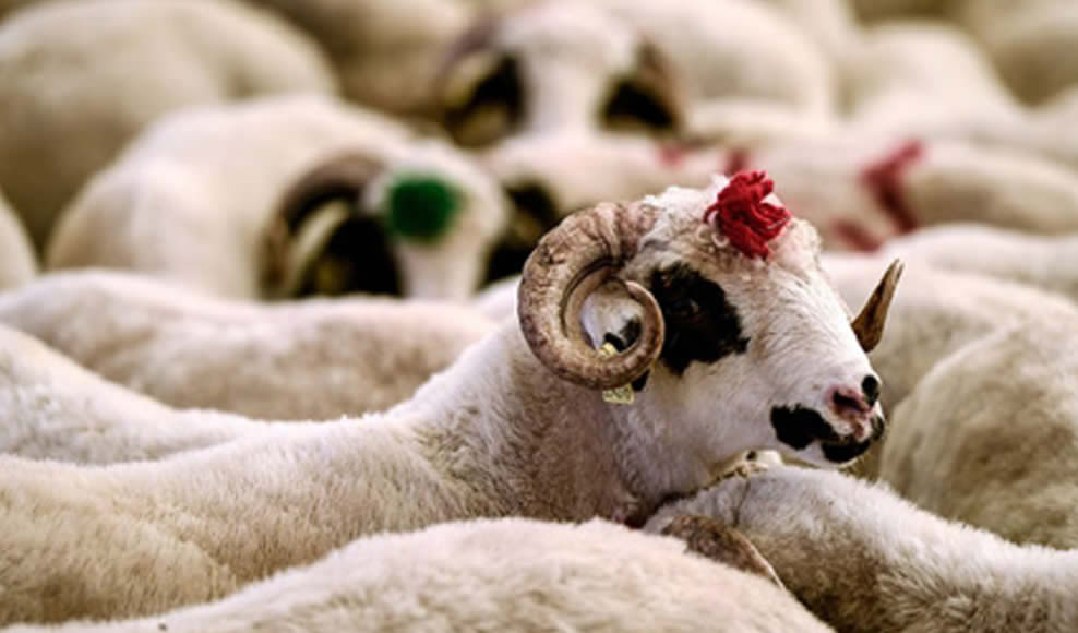 gecerli geçersiz adak